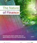 The Nature of Finance